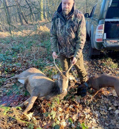 fallow deer venison